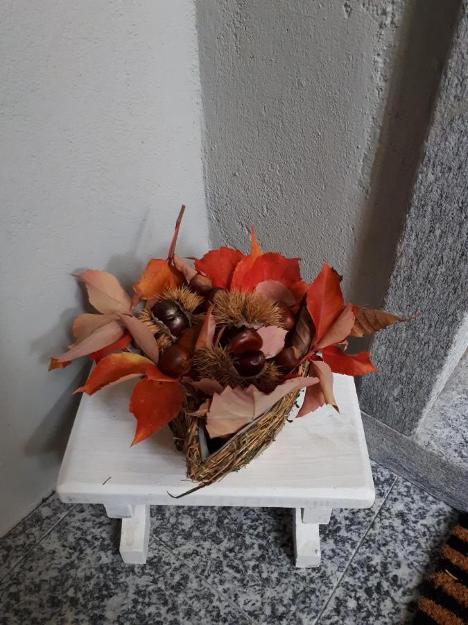 Iris Home Camblione المظهر الخارجي الصورة